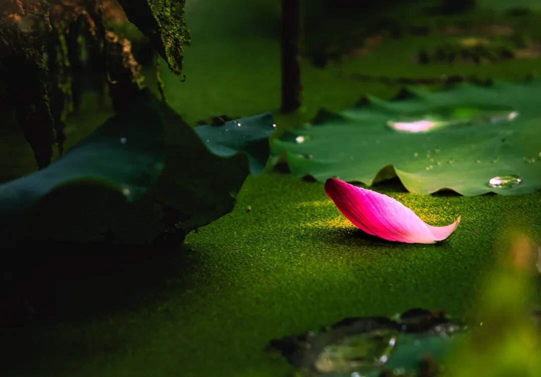 1204_170238_212.jpg 640 (4).jpg